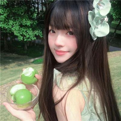 夏日之书2024